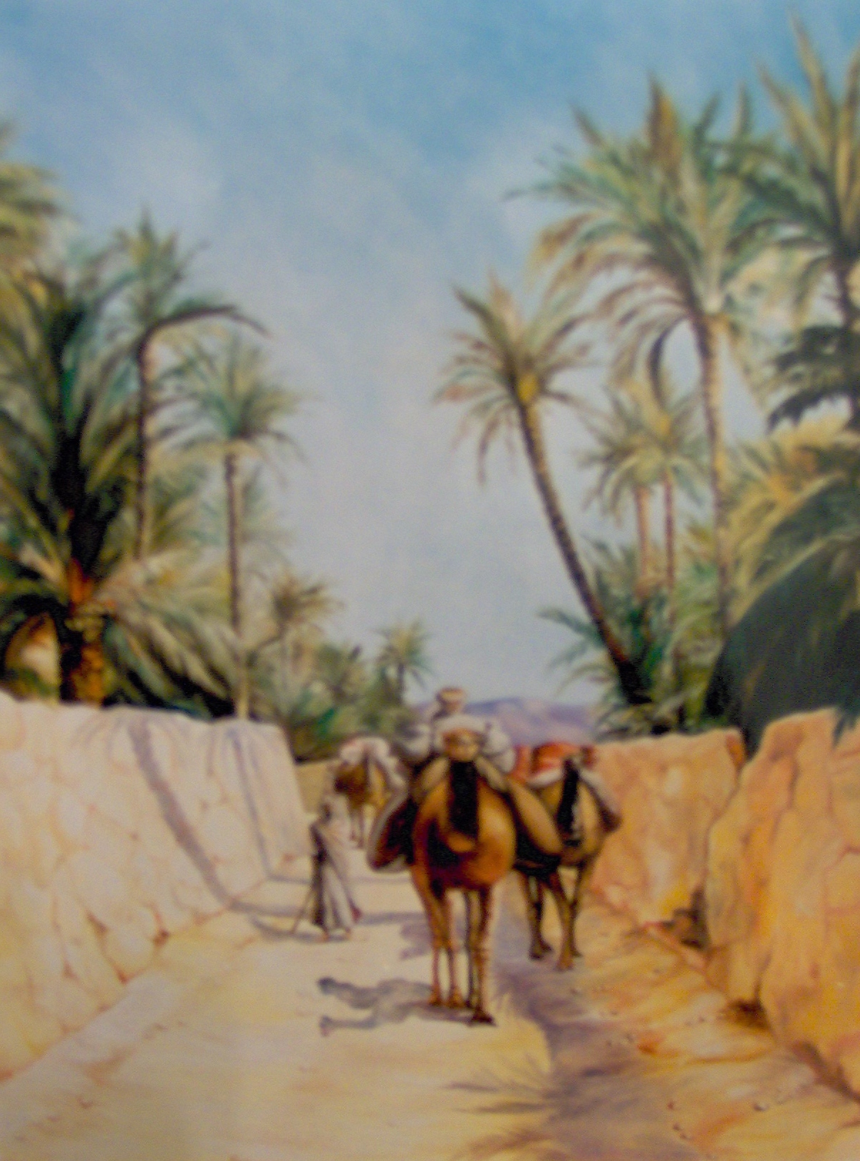 Paesaggio con cammelli